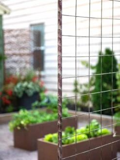 Jardin Rose Arch -Gardeners Supply Company 38690 9948 tif