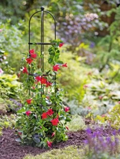 Essex Round Trellises 13 Essex Round Trellises -Gardeners Supply Company 39544 2267 tif