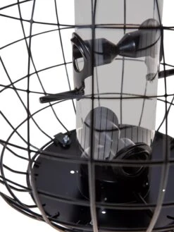 Mixed Seed Globe Cage Feeder 8 Mixed Seed Globe Cage Feeder -Gardeners Supply Company 8586659 6400