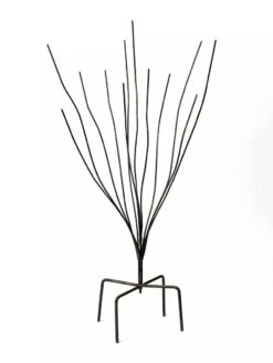 Bottle Bush 7 Bottle Bush -Gardeners Supply Company 8588047 0697