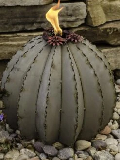 Desert Steel Golden Barrel Cactus Torches -Gardeners Supply Company 8591454 01V tif