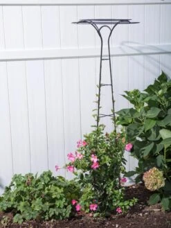 Essex Tuteur, 63" 10 Essex Tuteur, 63" -Gardeners Supply Company 8594162 0023 tif