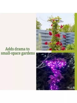 Essex Tuteur, 63" 13 Essex Tuteur, 63" -Gardeners Supply Company 8594162 3