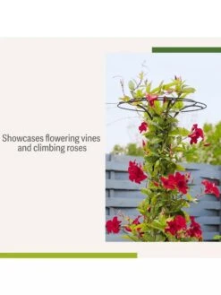 Essex Tuteur, 63" 12 Essex Tuteur, 63" -Gardeners Supply Company 8594162 4