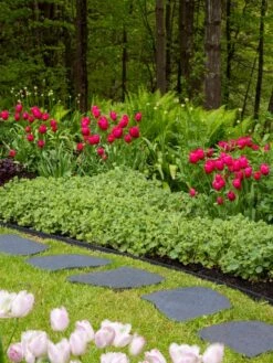 Recycled Rubber Flagstone Stepping Stone -Gardeners Supply Company 8594282 518 tif