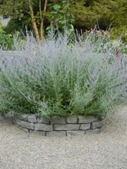 Rock Lock Interlocking Garden System, Curved Sets -Gardeners Supply Company 8598737 04V tif