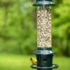 Brome ® Squirrel Buster Plus™ Bird Feeder -Gardeners Supply Company 8598916 1311 tif