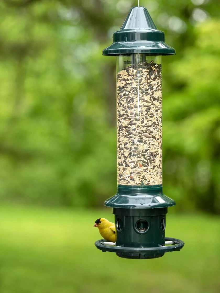 Brome ® Squirrel Buster Plus™ Bird Feeder 3 Brome ® Squirrel Buster Plus™ Bird Feeder