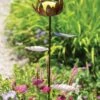 Dahlia Butterfly Feeder 2 Dahlia Butterfly Feeder -Gardeners Supply Company 8599369 681 tif