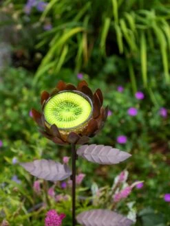 Dahlia Butterfly Feeder -Gardeners Supply Company 8599369 683 tif