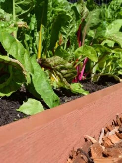 Straight Landscape Edging Kit With 2" Boards -Gardeners Supply Company 8599408 02V tif