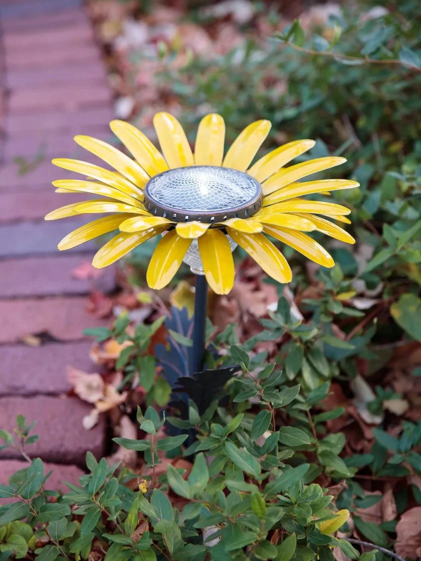Desert Steel Daisy Solar Light 3 Desert Steel Daisy Solar Light