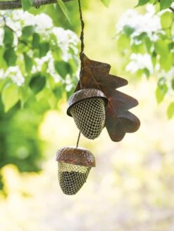 Acorn Bird Feeder -Gardeners Supply Company 8599573 14075 tif