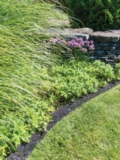 Recycled Rubber Mulch Edging, 12’ X 6” -Gardeners Supply Company 8599854 0897 tif