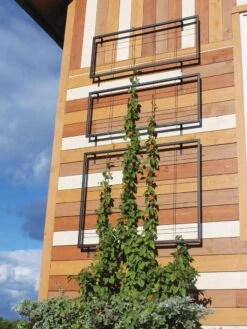 Exeter Wall Trellis -Gardeners Supply Company 8600049 7121 tif