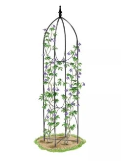 Verona Obelisk -Gardeners Supply Company 8600054 0001 art 3 4