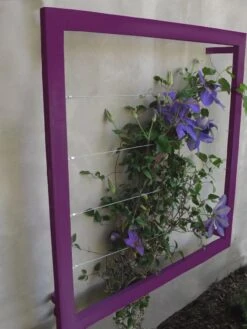 Ina Modern Wall Trellis Jr. -Gardeners Supply Company 8600512 01V tif