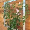 Ina Modern Wall Trellis Jr. 2 Ina Modern Wall Trellis Jr. -Gardeners Supply Company 8600512 07V tif