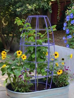 Toki Bubble Trellis 14 Toki Bubble Trellis -Gardeners Supply Company 8600520 02V tif