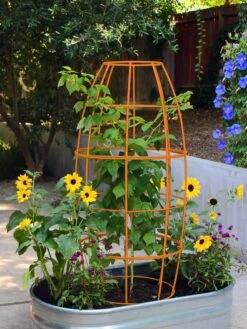 Toki Bubble Trellis 12 Toki Bubble Trellis -Gardeners Supply Company 8600520 03V tif