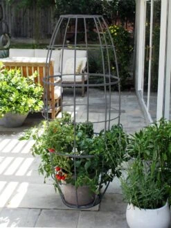 Toki Bubble Trellis 11 Toki Bubble Trellis -Gardeners Supply Company 8600520 07V jpg