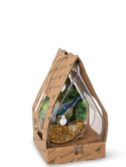 Dewdrop Window Bird Feeder 9 Dewdrop Window Bird Feeder -Gardeners Supply Company 8609061 4444 tif