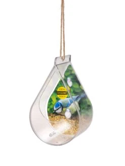 Dewdrop Window Bird Feeder 8 Dewdrop Window Bird Feeder -Gardeners Supply Company 8609061 4447 tif