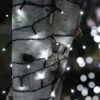 Solar LED String Lights, Lightup225™ 1 Solar LED String Lights, Lightup225™ -Gardeners Supply Company 8609126 02V tif 1