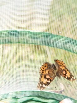 Butterfly Garden® Kit With Voucher -Gardeners Supply Company 8609265 6288 tif