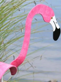 Florida Dancing Birds®, Flamingos -Gardeners Supply Company 8609442HP 02V jpg