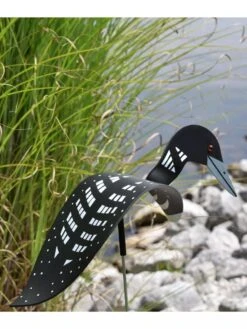 Florida Dancing Birds®, Loon -Gardeners Supply Company 8609443 01V 3 4