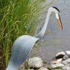 Florida Dancing Birds®, Great Blue Heron 2 Florida Dancing Birds®, Great Blue Heron -Gardeners Supply Company 8609451 02V jpg