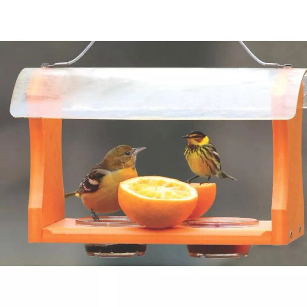Birds Choice™ Oriole Feeder 5 Birds Choice™ Oriole Feeder - Image 3