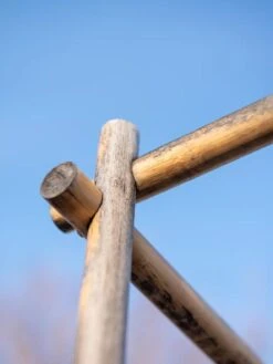 Bamboo Wall Trellis, 45" X 30", Set Of Two 9 Bamboo Wall Trellis, 45" X 30", Set Of Two -Gardeners Supply Company 8613143 0385