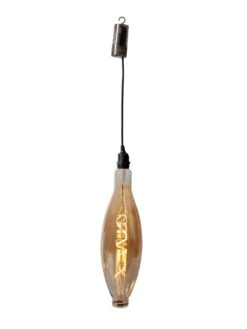 Retro Essence™ Vintage LED Light Bulbs -Gardeners Supply Company 8613229 5979