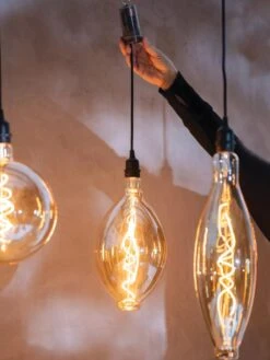 Retro Essence™ Vintage LED Light Bulbs -Gardeners Supply Company 8613229 7066