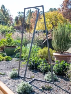 Pilar Free Standing Trellis 11 Pilar Free Standing Trellis -Gardeners Supply Company 8613316 5164