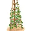 Cedar Obelisk, 8' -Gardeners Supply Company 8613322 art flat wooden obelisk