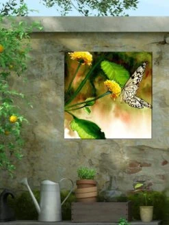 Butterfly Kiss Outdoor Wall Art