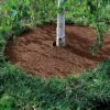 Coco Coir Tree Rings, Set Of 2 -Gardeners Supply Company GS33501 04 001E tif