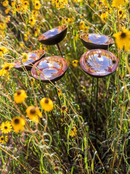 Gardeners Supply Company 34 Gardeners Supply Company -Gardeners Supply Company 8613342 7913 510x680 1